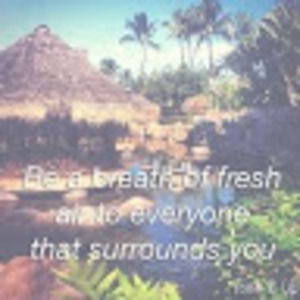 Meet your Posher, Lindsay